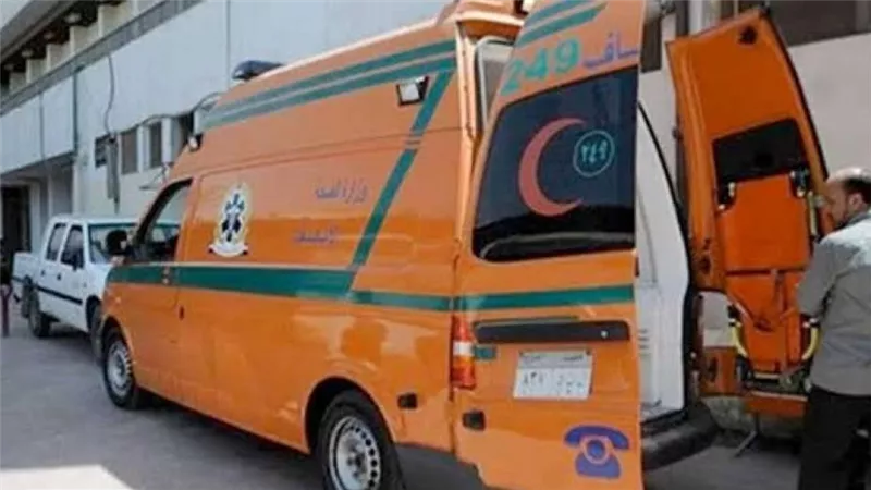 بعد 40 يومًا من وفاة زوجها.. سيدة تفقد حياتها لإنقاذ نجلها