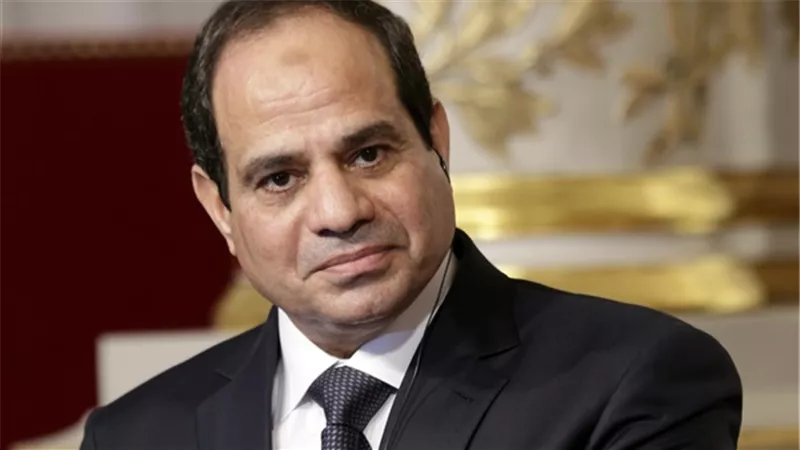 ننشر كلمة السيسي في الجلسة الافتتاحية للقمة الإفريقية