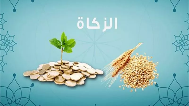 بالفيديو : كيفية إخراج زكاة المال في التجارة: رأس المال أم الأرباح؟